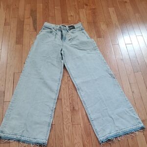 Express Blue Flare Wide Leg Jeans